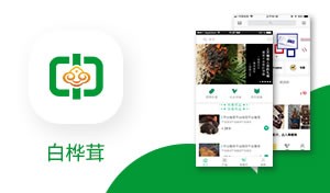app制作-白桦茸
